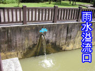 溫帶動物區的雨水貯蓄利用系統滿水的溢流口