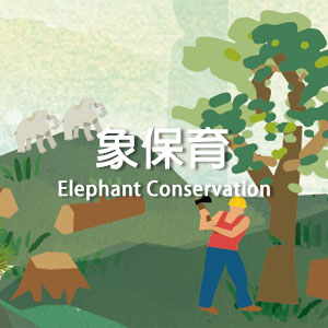 象保育 Elephants Conservation