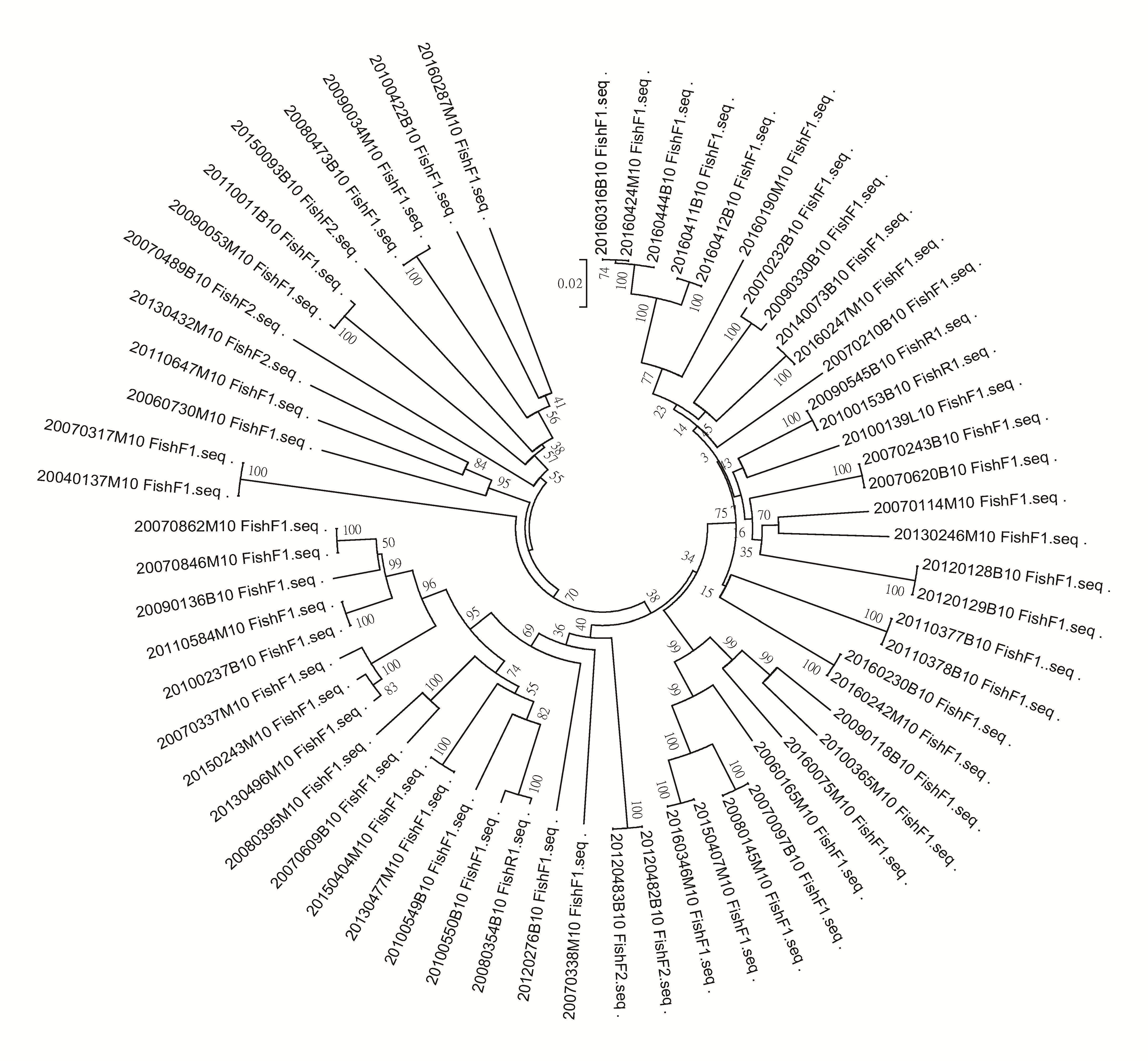 以MEGA完成之本園38種龜鱉目樣本圓形親緣圖。資料來源：本研究計畫成果報告內容